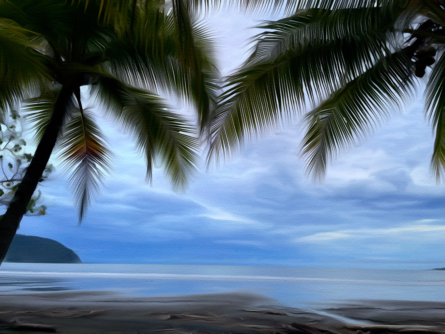 Framed by Palms – Quiet Ocean View