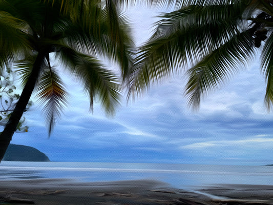Framed by Palms – Quiet Ocean View