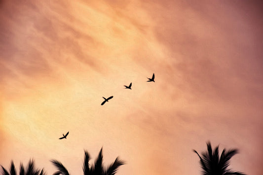 Sky Messengers – Birds in an Orange‑Pink Sunset
