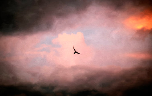Wings at Dusk